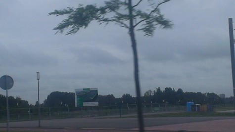 IMAG6454