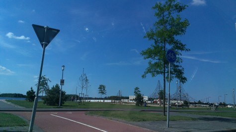 IMAG8688