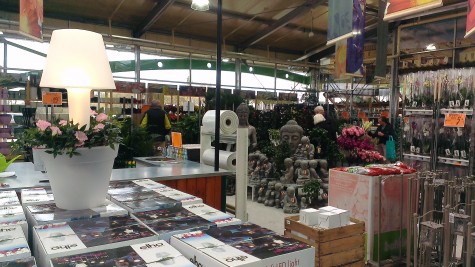 IMAG0815
