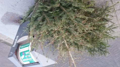 kerstboom8[1]