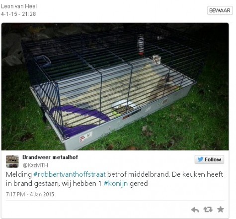 brand