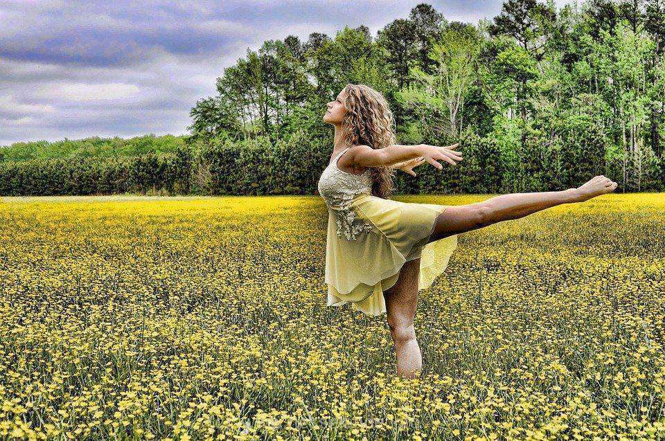 Dansen Nesselande