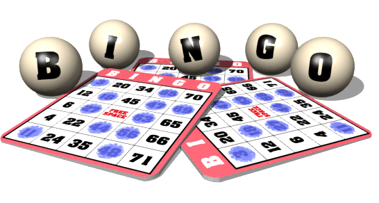 Dag van de Koniginnenacht 29 april 2012: bingo voor alle Nesselanders