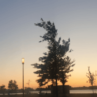 Boulevard Nesselande  #nieuws #nesselande #news  zon avond