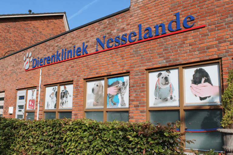 Dierenkliniek Nesselande voor het tweede jaar op rij gekozen tot de ‘Beste Dierenarts van Zuid-Holland’