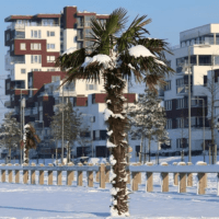Sneeuw Nesselande Rotterdam #wijk #strand #nieuws