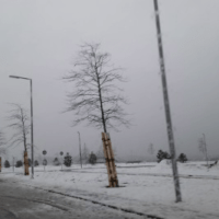 Sneeuw Nesselande Rotterdam #wijk #strand #nieuws