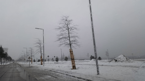 Sneeuw Nesselande Rotterdam #wijk #strand #nieuws