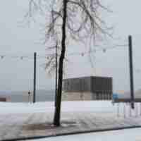 Sneeuw Nesselande Rotterdam #wijk #strand #nieuws