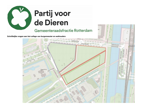 Lokale politiek heeft gemeenteraad aan de tand gevoeld over ‘Bouwen in het groen in Nesselande’ #commongreen