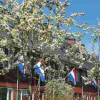 Woningen Nesselande koningsdag