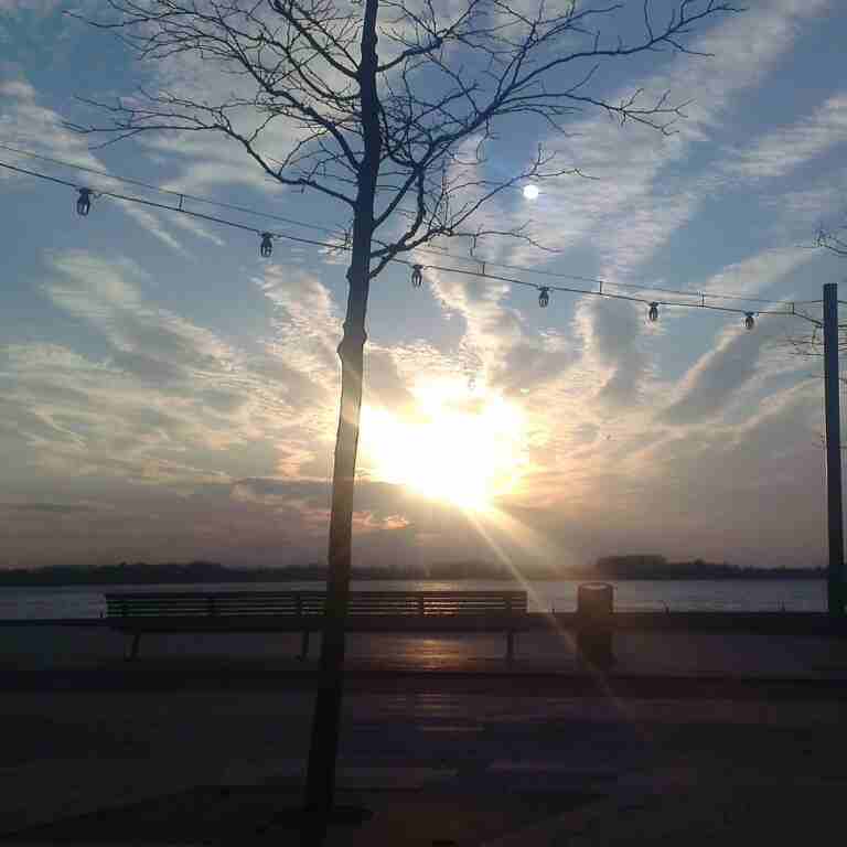 FOTO’s: Nesselande in de lentezon