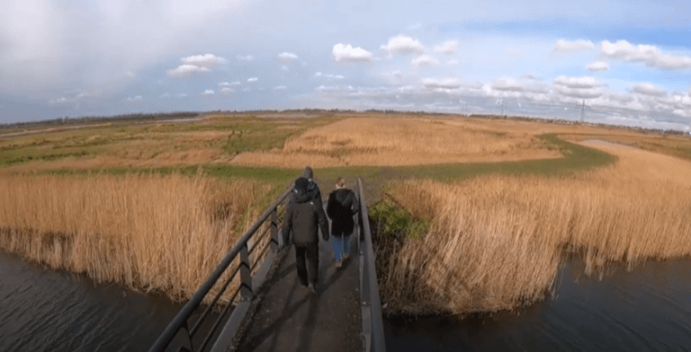 [VIDEO] 15 dagen (winter)wandelen door Nesselande 2021: ‘Van zwart ijs, sneeuwstorm naar blauwe lucht’