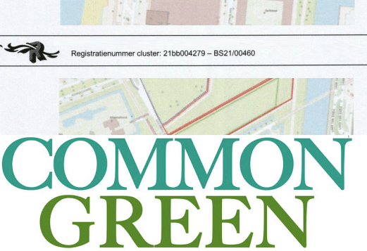 BREKEND! Gemeenteraad reageert: ‘Groot deel Common Green Nesselande blijft groen; parkeerplekken, geen sportgebied’