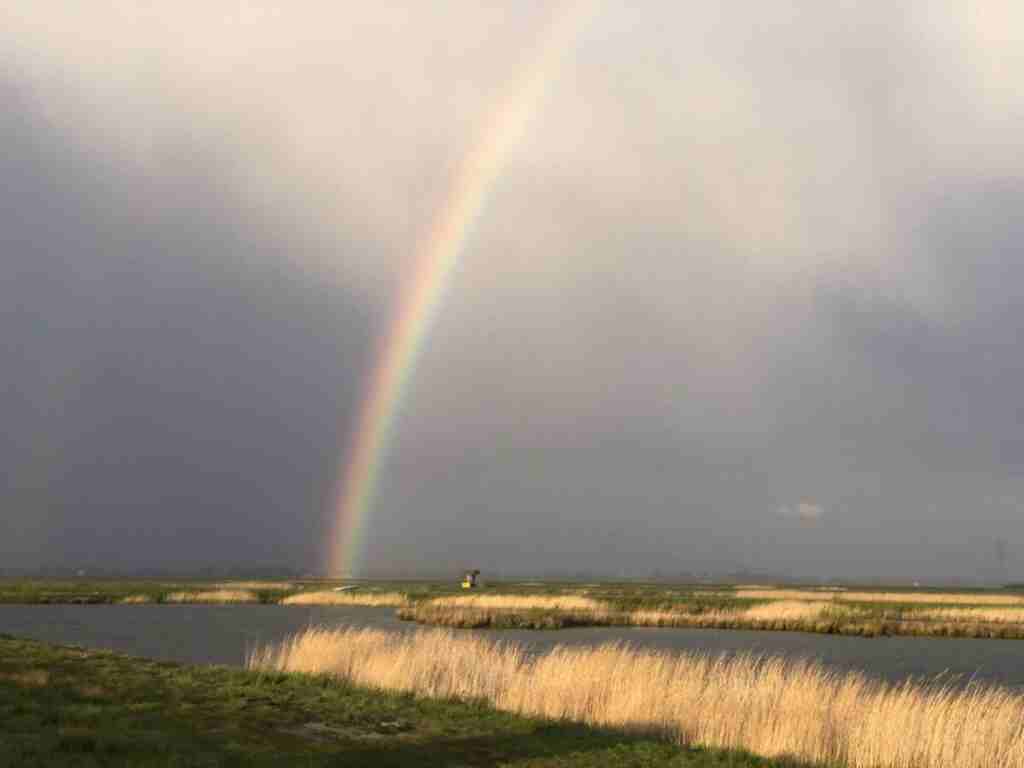 nieuws nesselande foto polders