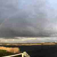 nieuws nesselande foto polder