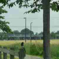 Metro common green
