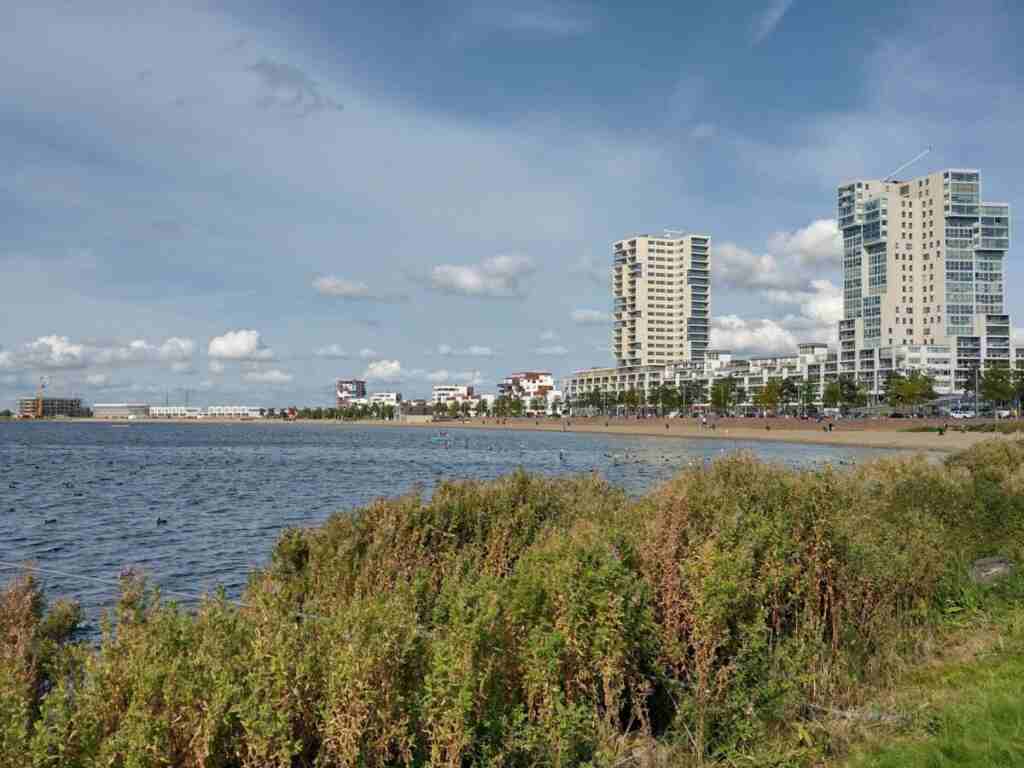 Strand Nesselande groen