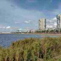 Strand Nesselande groen