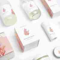 conceptstore winlkel