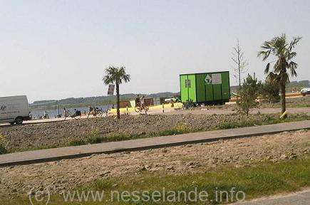 Strand Nesselande palmboom