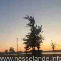 luchtesselande___4707