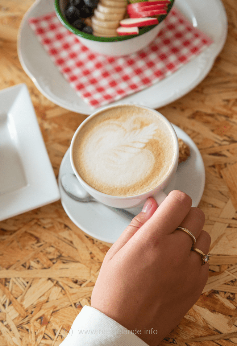 Steun Mamamo Nesselande met een lunch of koffie to go (+15 km wandelroute kant en klaar)