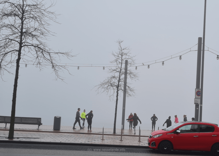 Zevenheuvelenloop en vakantiesluiting Loopgroep Nesselande