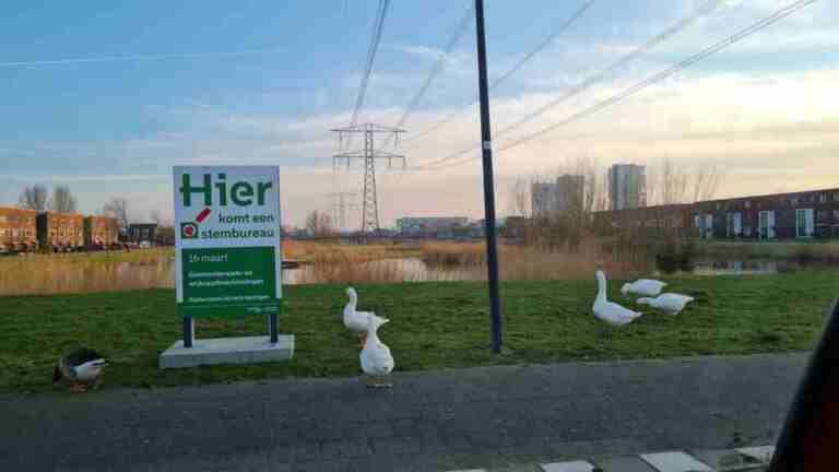 Tijdelijke stembureaus in Rotterdam-Nesselande voor verkiezingen Tweede Kamer 29 oktober #TK25