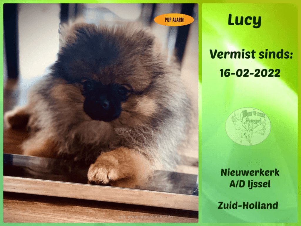 Hond vermist