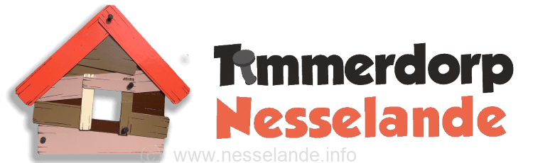Timmerdorp Nesselande editie 2022 zoekt vrijwilligers