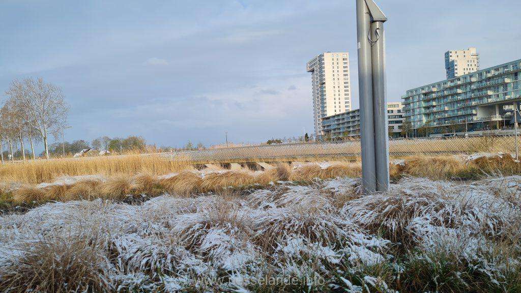Nesselande in de sneeuw