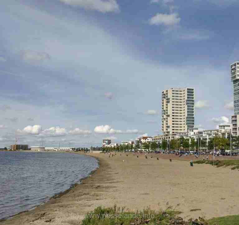 Boulevardwandeling zondag 12 juni 8 uur (ochtend) uur verzamelen bij EHBO huisje op strand #nieuws
