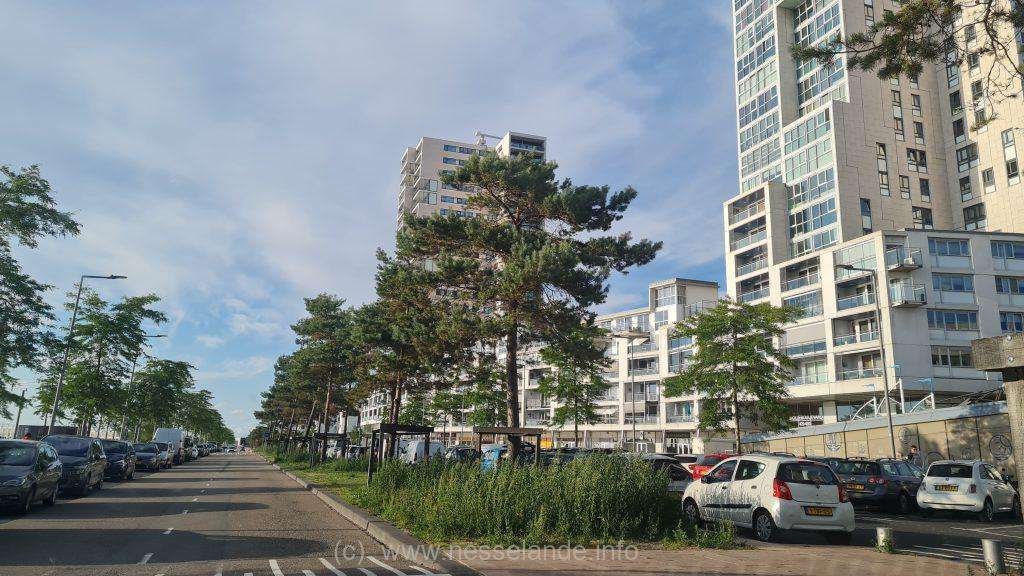 Brandingdijk Nesselande