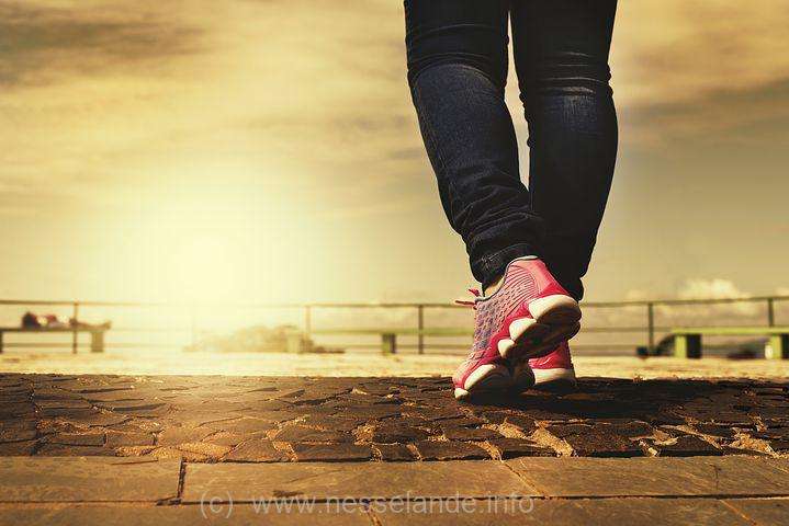 Zomerstop: Wandelclub Nesselande komt in september weer in beweging