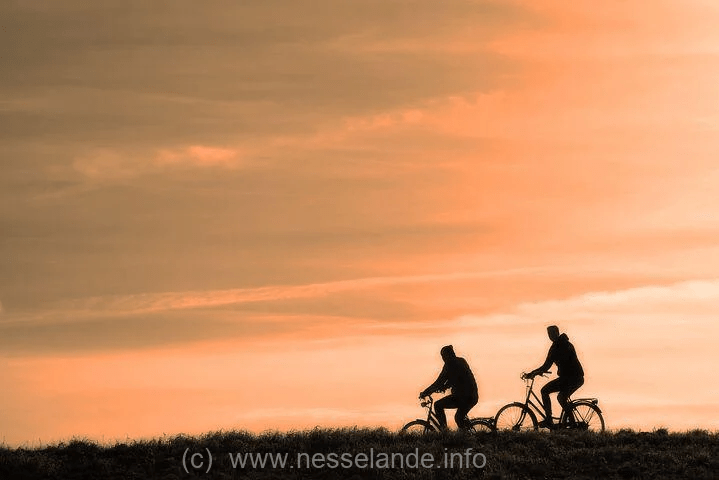 Huis van de Wijk Nesselande: september 2022 weer de fiets 4-daagse Prins Alexander #nieuws #fietsen