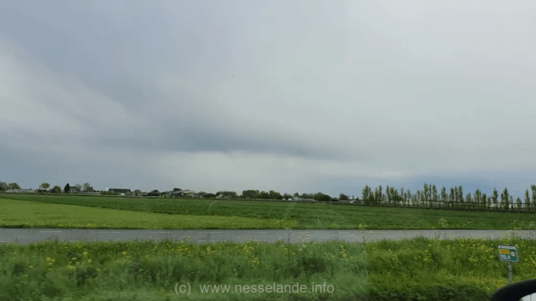 Nieuws Nesselande