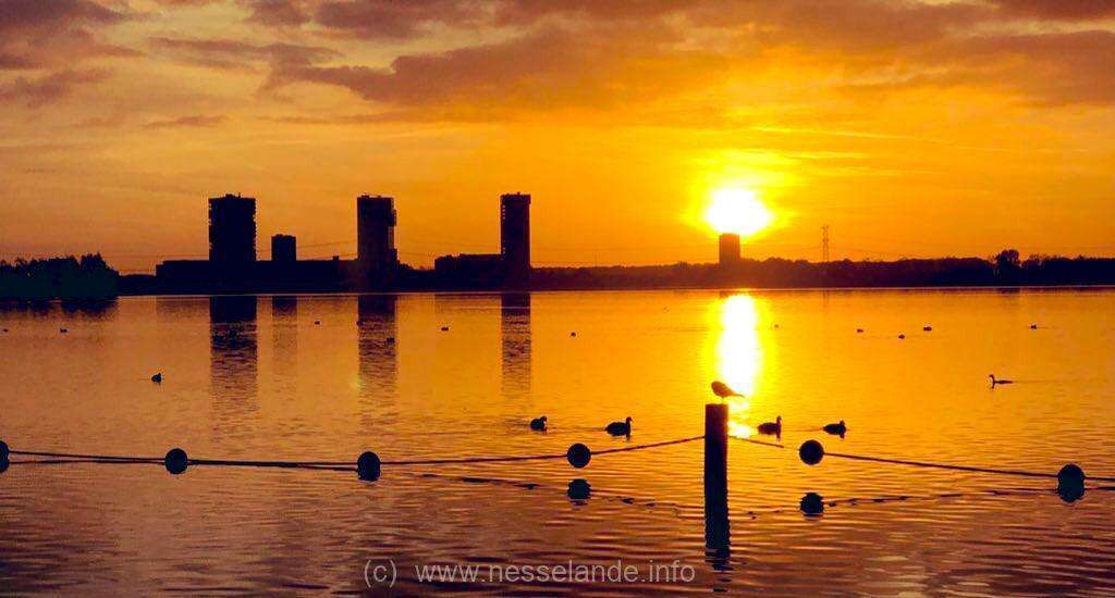 Foto opkomende zon Nesselande, foto: Jolanda Bakker