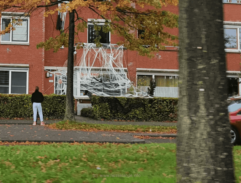 Scare zones, tijdens de Halloween Nesselande 2022-editie in de wijk