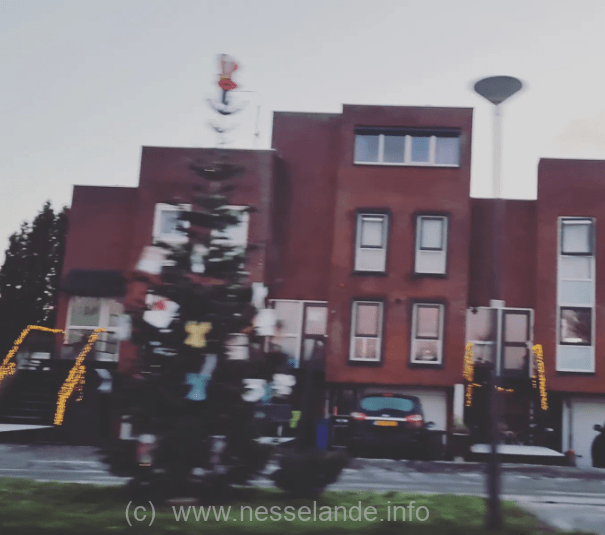 Verdien geld met het inleveren van de kerstboom in Nesselande
