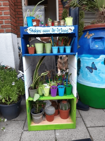 Ruilkastje nesselande nieuws