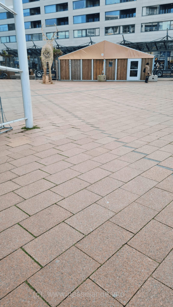 schaatsen Nesselande
