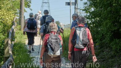 17 januari 2023: kennismakingsloop Wandelgroep Nesselande verzamelen op de Brandingdijk