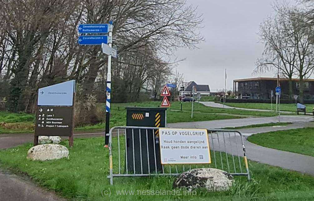 Vogelgriep Nesselande nieuws news