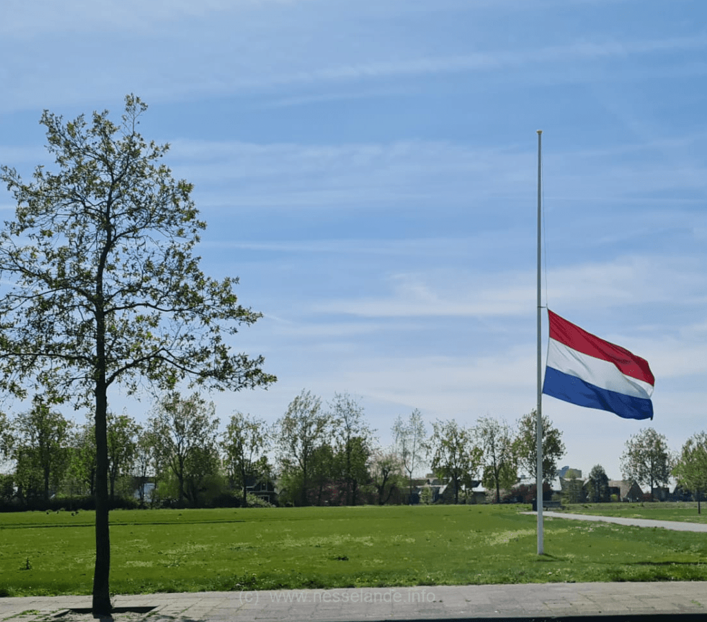 Herdenkingen in de stad Herdenken doen we samen en dat kan op verschillende plekken in de stad. De burgemeester legt namens het gemeentebestuur kransen op een aantal van deze plekken. De centrale herdenking, met om 20.00 uur 2 minuten stilte, is op het Stadhuisplein. Toespraken 4 mei Databank Koopvaardij Programma Algemene Begraafplaats Crooswijk Programma herdenking Joodse stadsgenoten stadhuistuin Programma Nationaal Koopvaardijmonument 'De Boeg' Programma Laurenskerk en stille tocht naar Stadhuisplein Programma Stadhuisplein