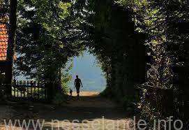 Smaakwandeling Nesselande nieuws