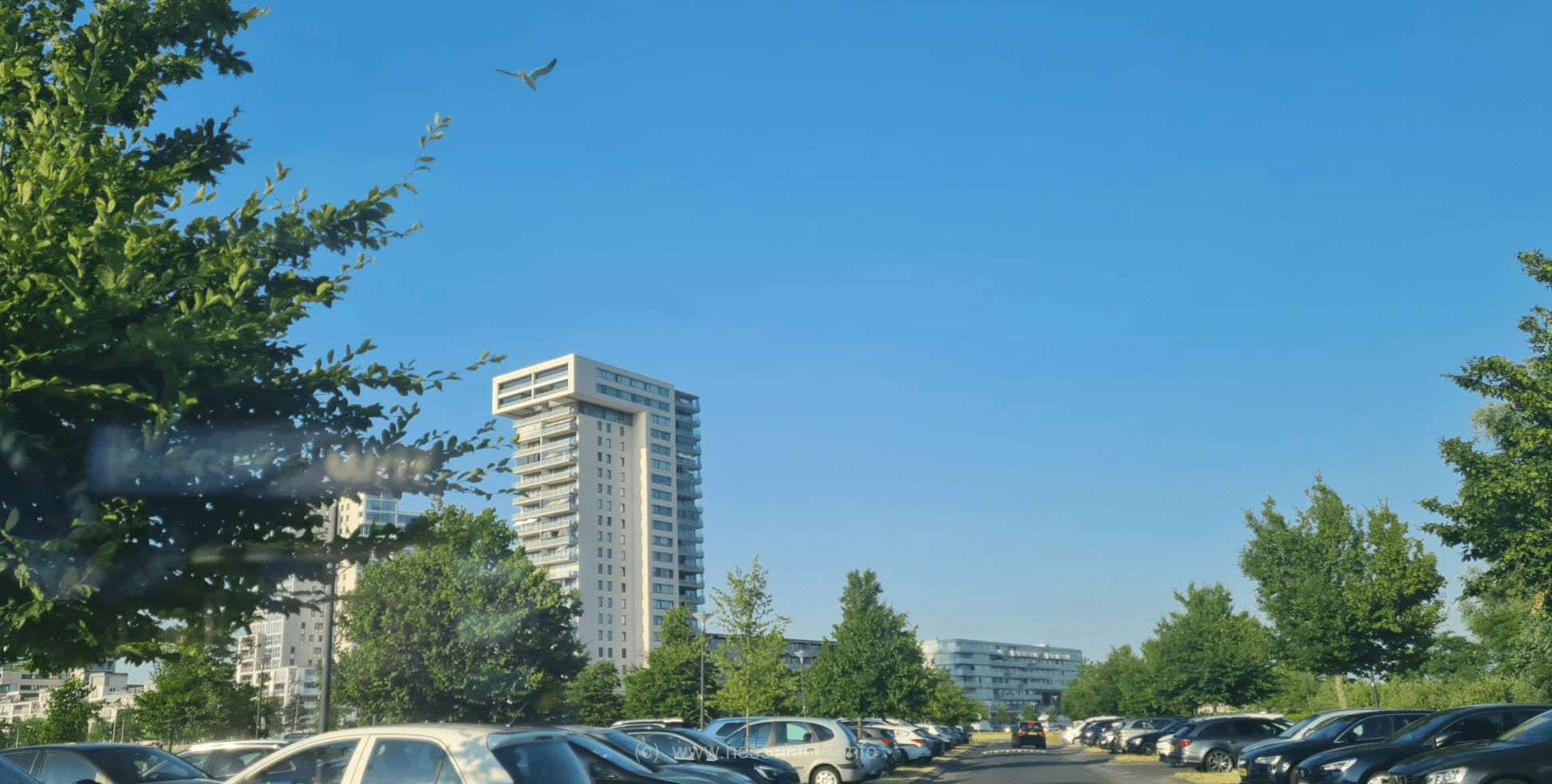 Een volle Kosboulevard