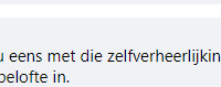 Leefbaar Rotterdam wijkraadlid claimt ‘Prullenbakken strand Nesselande’ (maar die stonden er al)