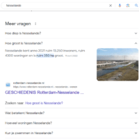 20 jaar Nesselande.INFO: een boost in bezoek, nu onderhoud en uitbreiding hostingserver