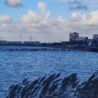 [VIDEO] UPDATE: Verslag 15e editie Nieuwjaarsduik Rotterdam-Nesselande #zevenhuizerplas